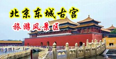 屄屄艹我视频免费网址中国北京-东城古宫旅游风景区